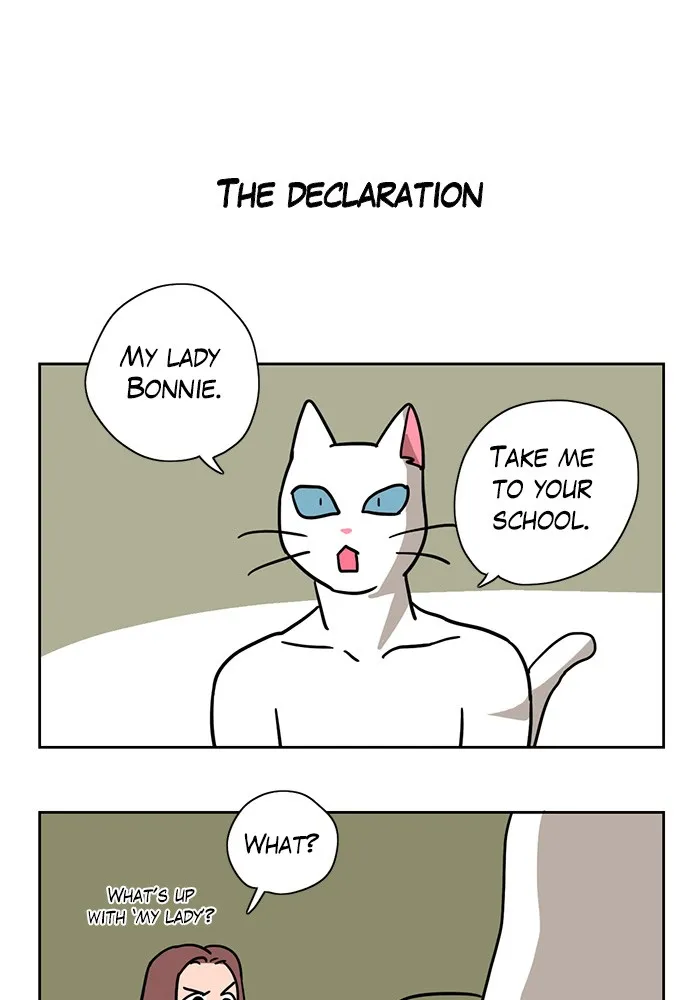Read Meow Man chapter 4 image 5 on Lezhin