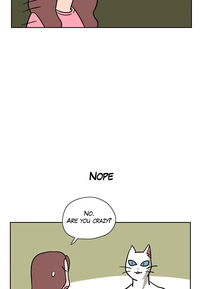 Read Meow Man chapter 4 image 7 on Lezhin