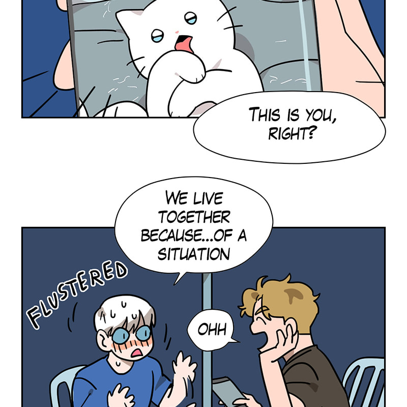 Read Meow Man chapter 41 image 53 on Lezhin