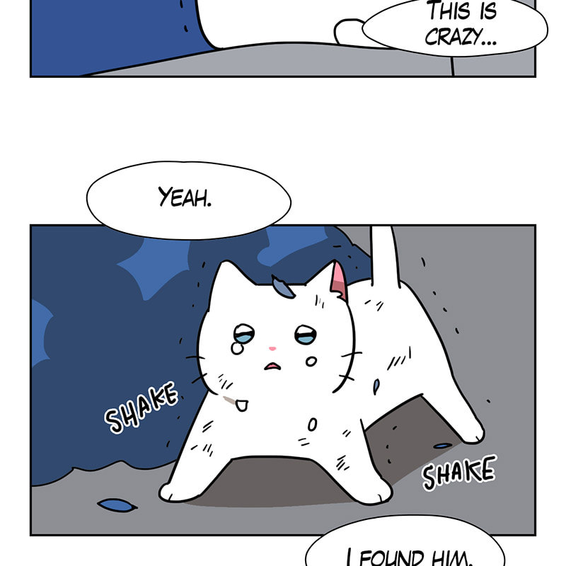 Read Meow Man chapter 48 image 58 on Lezhin