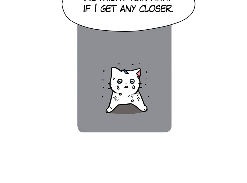 Read Meow Man chapter 48 image 60 on Lezhin