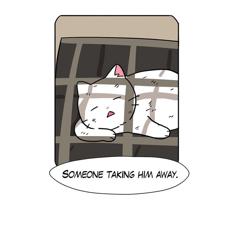 Read Meow Man chapter 49 image 60 on Lezhin