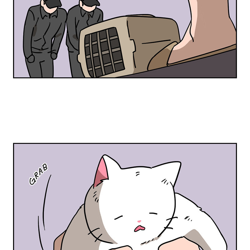 Read Meow Man chapter 51 image 58 on Lezhin