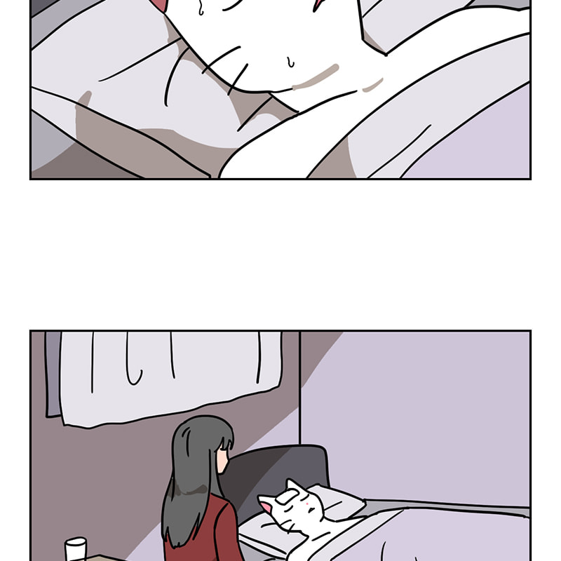 Read Meow Man chapter 52 image 7 on Lezhin