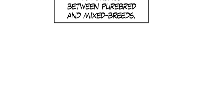Read Meow Man chapter 53 image 25 on Lezhin