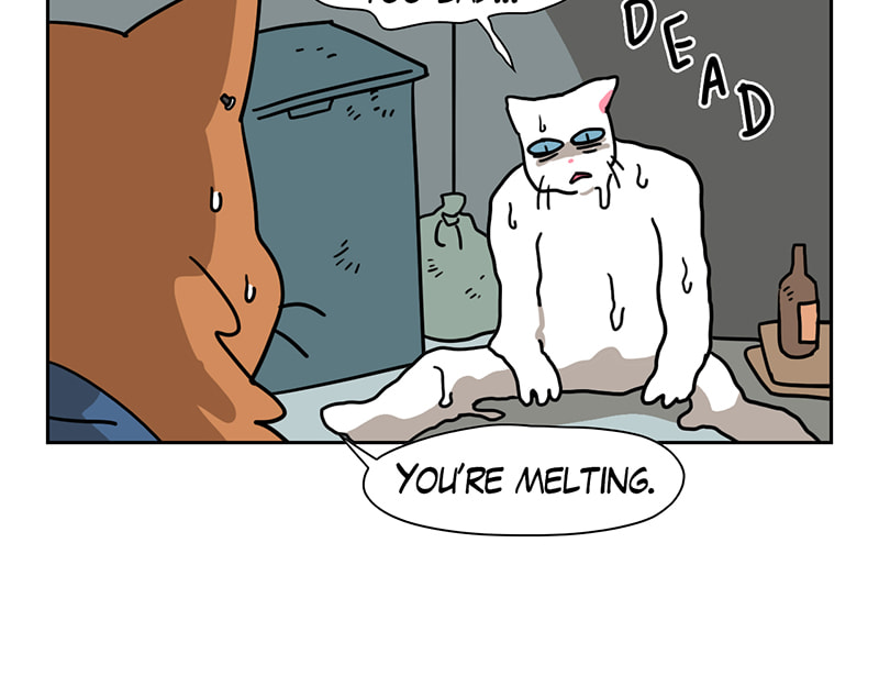 Read Meow Man chapter 54 image 10 on Lezhin