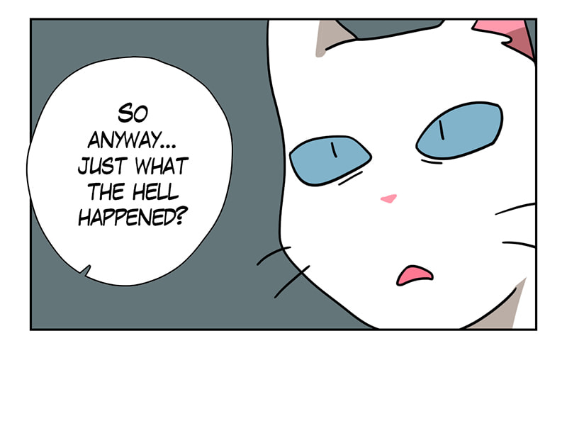 Read Meow Man chapter 54 image 11 on Lezhin