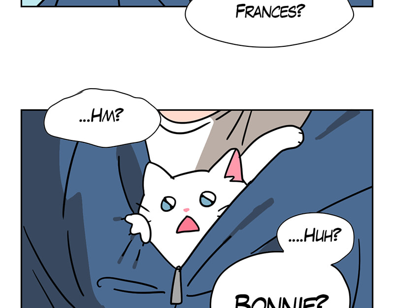 Read Meow Man chapter 54 image 58 on Lezhin