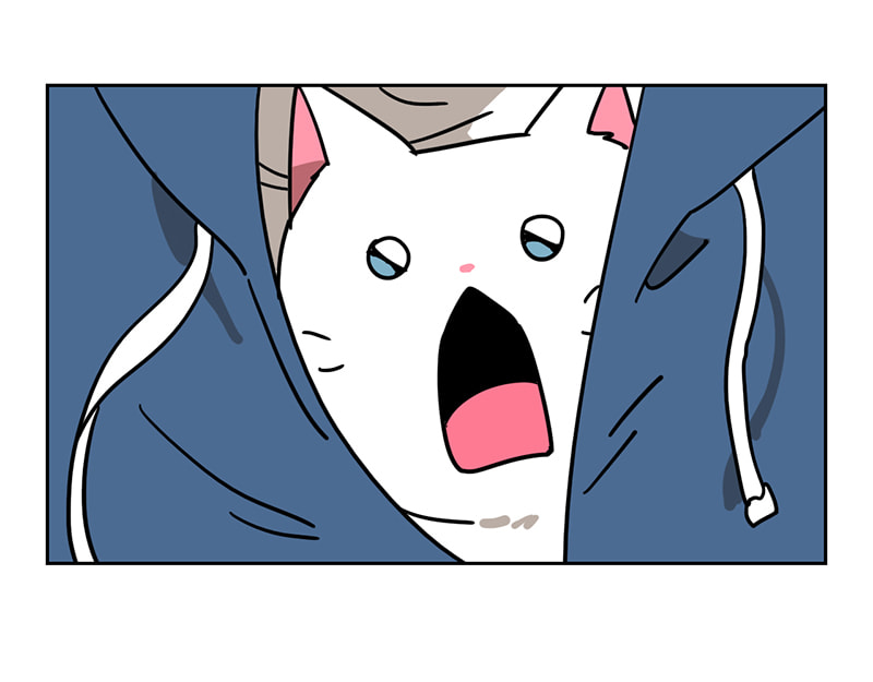 Read Meow Man chapter 54 image 65 on Lezhin
