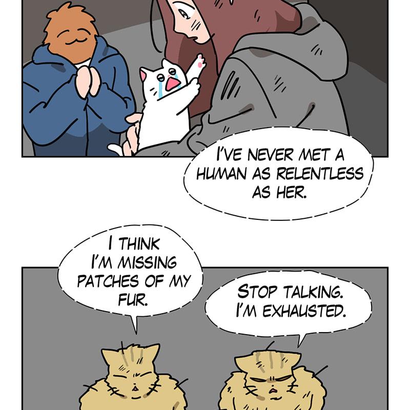 Read Meow Man chapter 55 image 17 on Lezhin