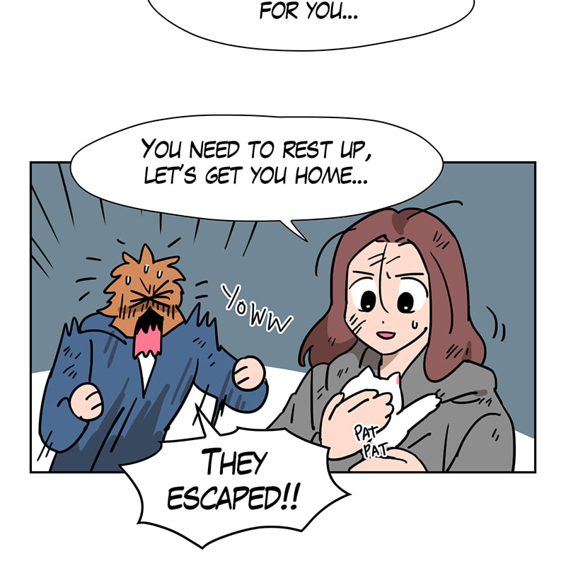 Read Meow Man chapter 55 image 39 on Lezhin
