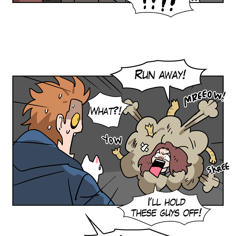 Read Meow Man chapter 55 image 4 on Lezhin