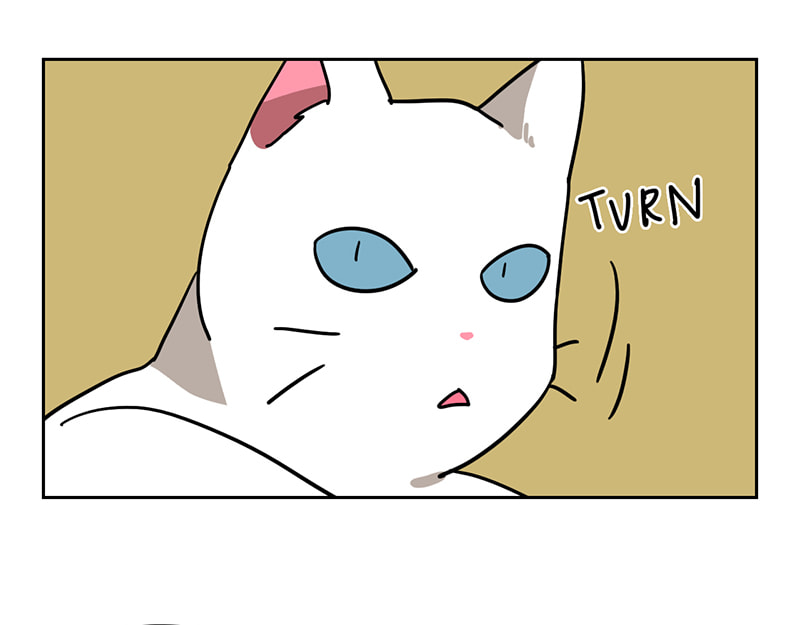 Read Meow Man chapter 57 image 65 on Lezhin
