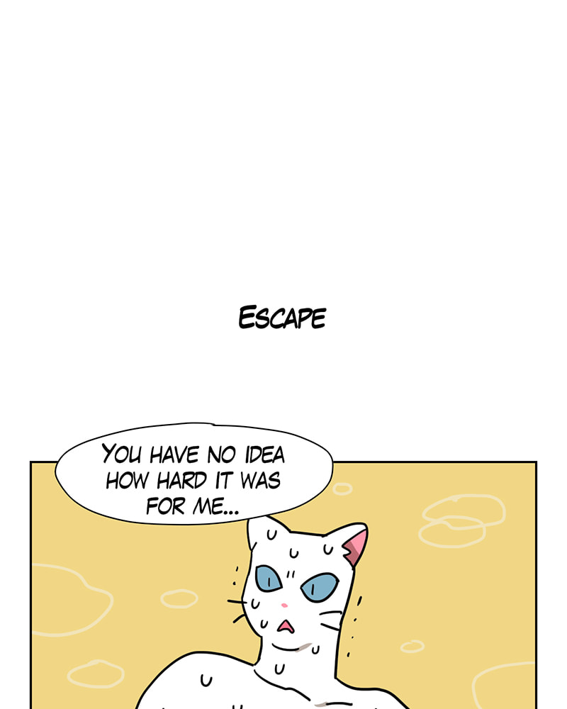 Read Meow Man chapter 58 image 22 on Lezhin