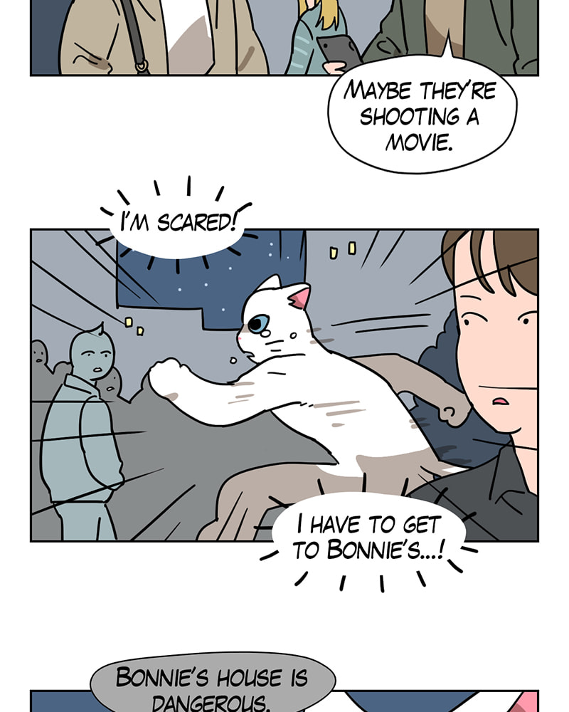 Read Meow Man chapter 58 image 27 on Lezhin