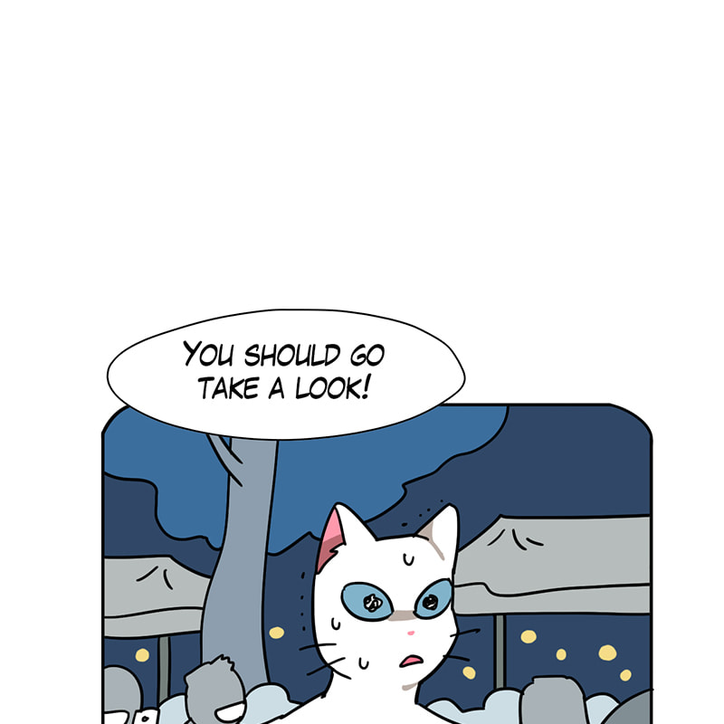 Read Meow Man chapter 59 image 60 on Lezhin