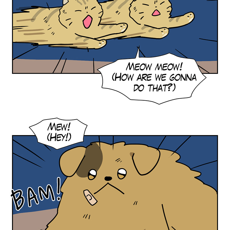 Read Meow Man chapter 64 image 42 on Lezhin