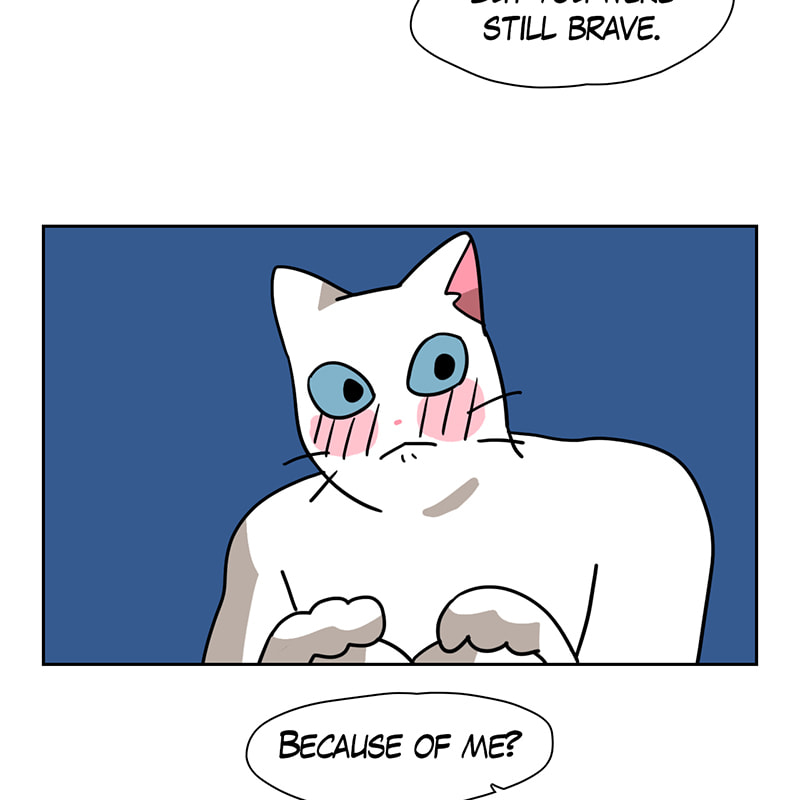 Read Meow Man chapter 64 image 54 on Lezhin