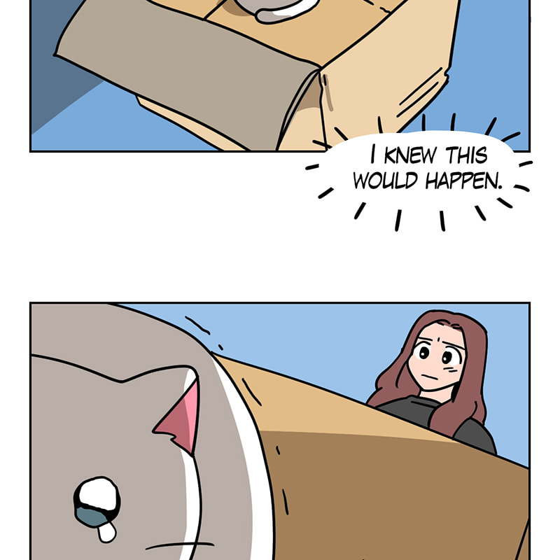 Read Meow Man chapter 70 image 22 on Lezhin