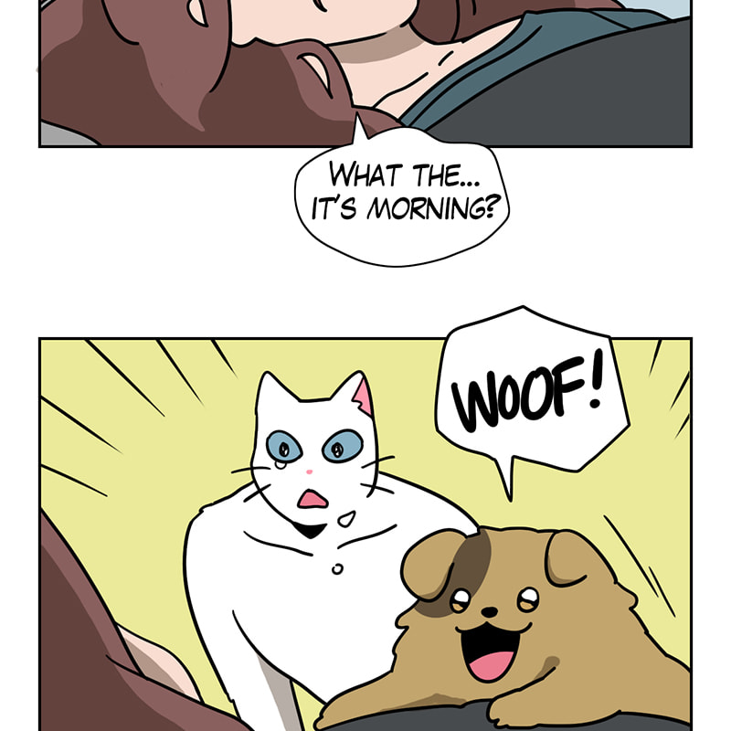 Read Meow Man chapter 74 image 3 on Lezhin