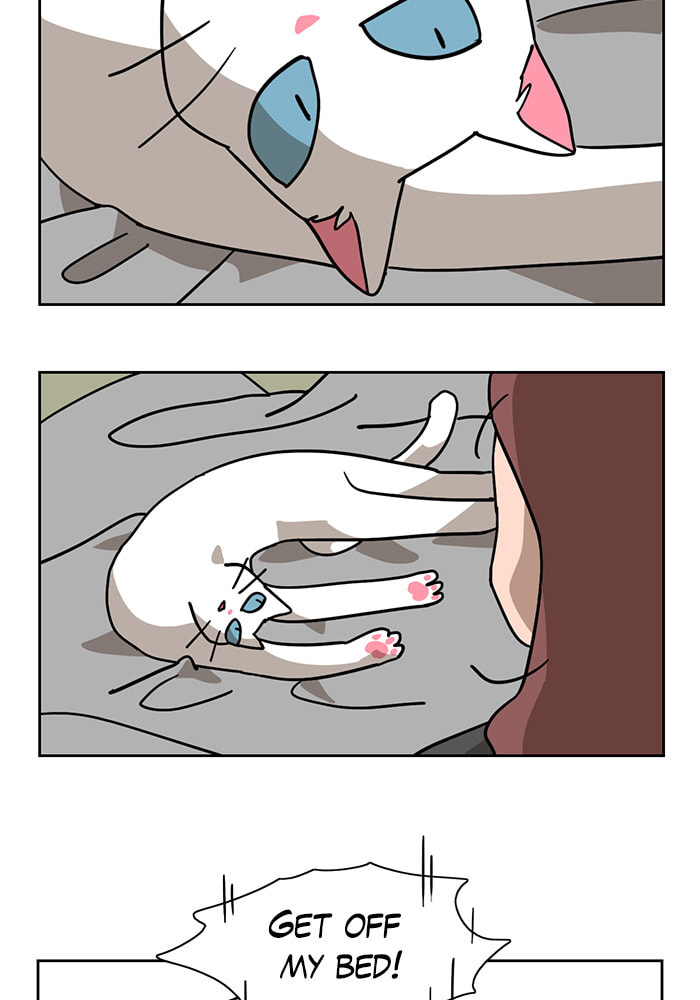 Read Meow Man chapter 8 image 2 on Lezhin