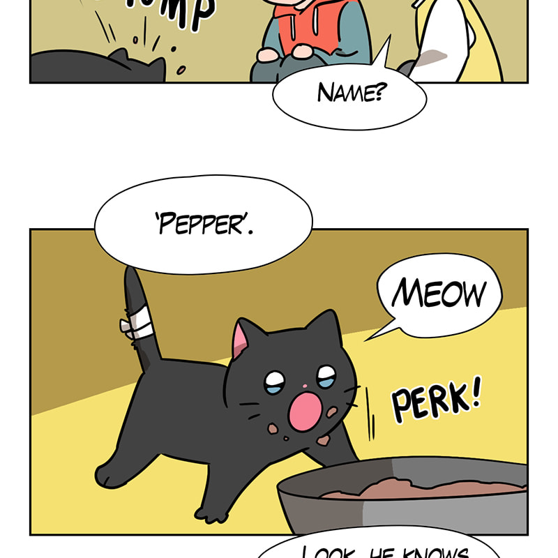 Read Meow Man chapter 80 image 53 on Lezhin