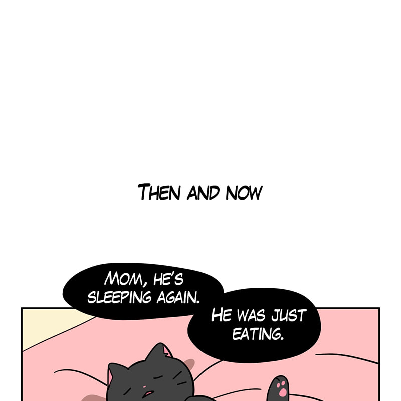 Read Meow Man chapter 84 image 23 on Lezhin