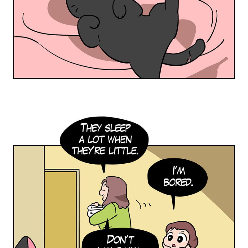 Read Meow Man chapter 84 image 24 on Lezhin