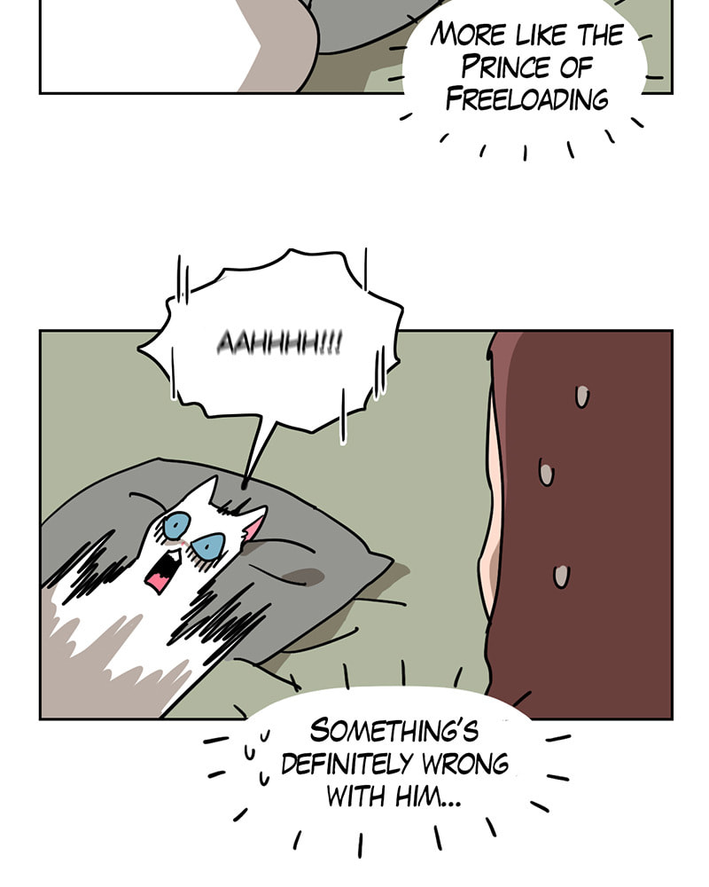 Read Meow Man chapter 9 image 11 on Lezhin