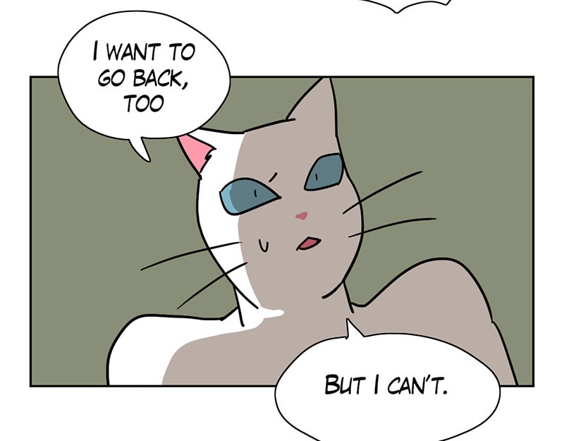 Read Meow Man chapter 9 image 38 on Lezhin