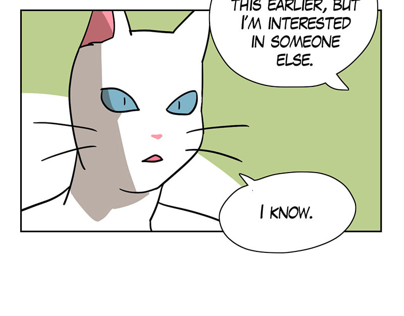 Read Meow Man chapter 9 image 54 on Lezhin