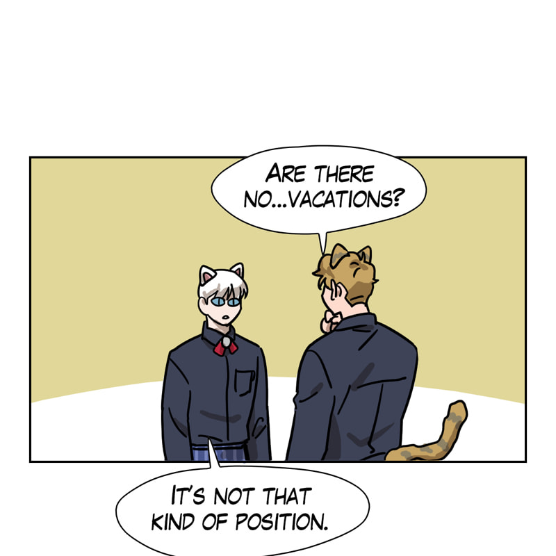 Read Meow Man chapter 92 image 25 on Lezhin