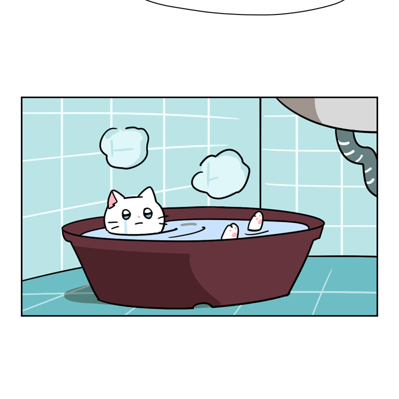 Read Meow Man chapter 94 image 10 on Lezhin