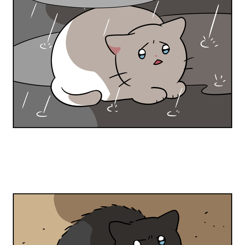 Read Meow Man chapter 94 image 48 on Lezhin