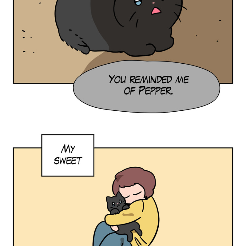Read Meow Man chapter 94 image 49 on Lezhin