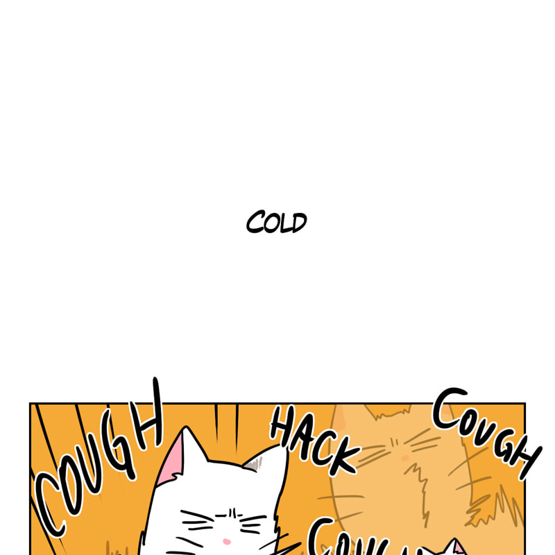 Read Meow Man chapter 96 image 27 on Lezhin