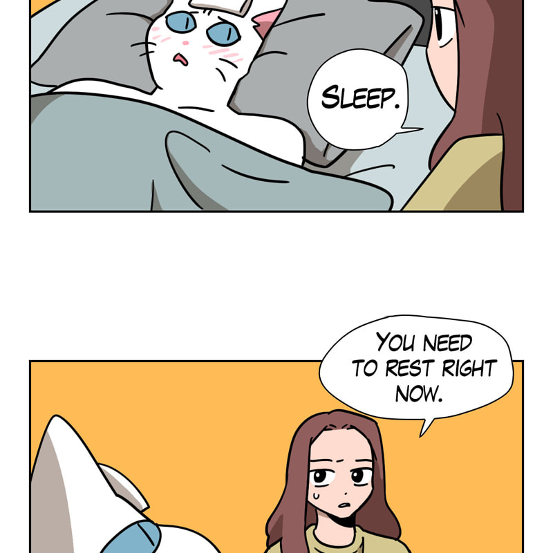Read Meow Man chapter 96 image 33 on Lezhin