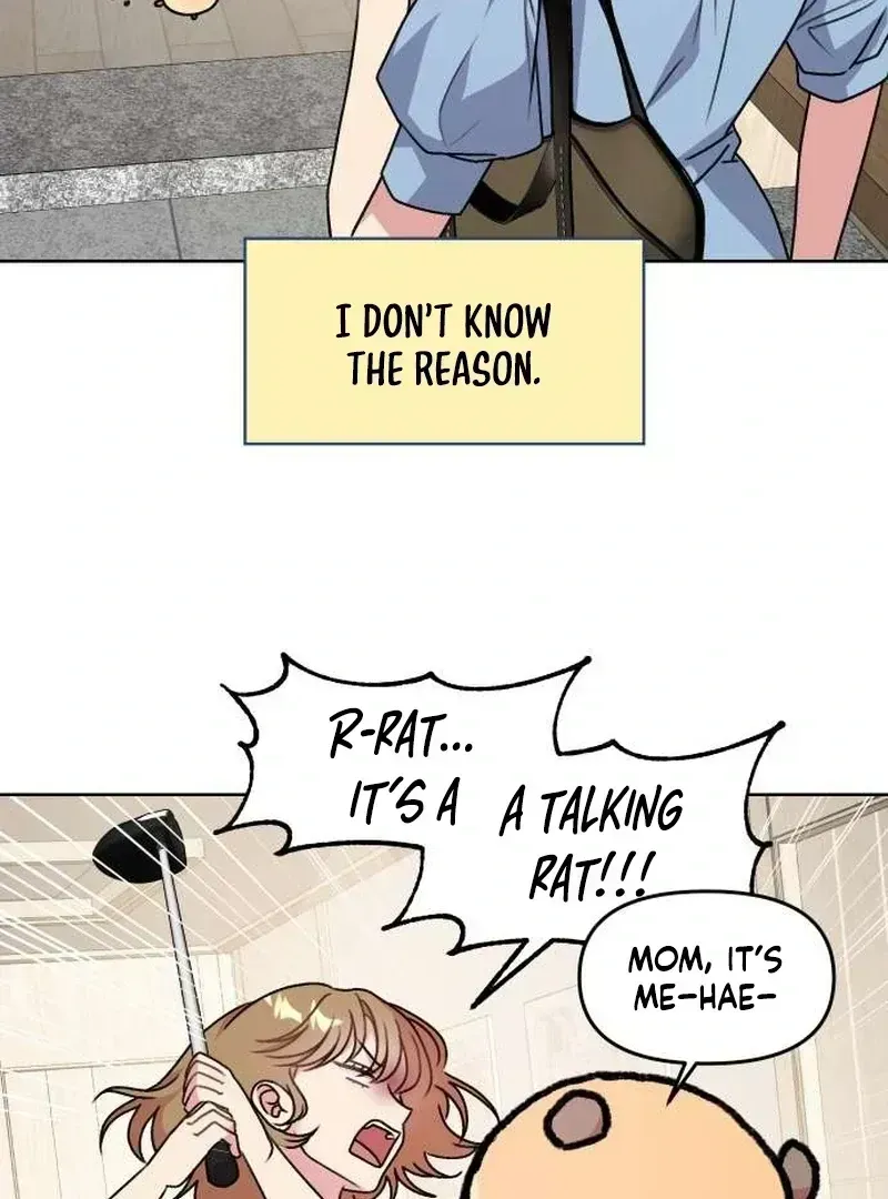 Read Meow Meow Squeak Squeak! chapter 2.3 image 3 on Lezhin