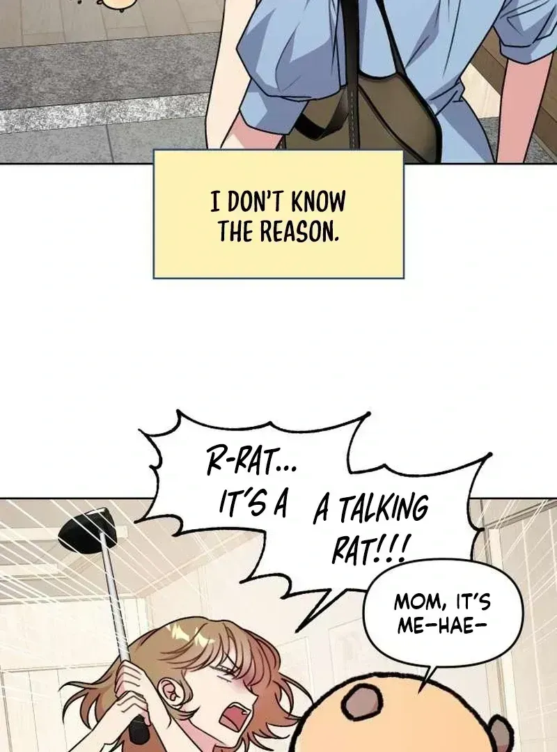Read Meow Meow Squeak Squeak! chapter 2.4 image 3 on Lezhin