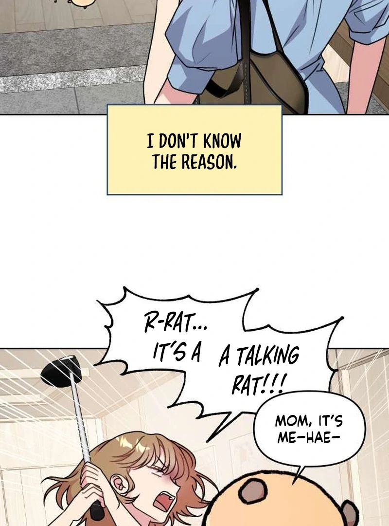 Read Meow Meow Squeak Squeak! chapter 2 image 3 on Lezhin