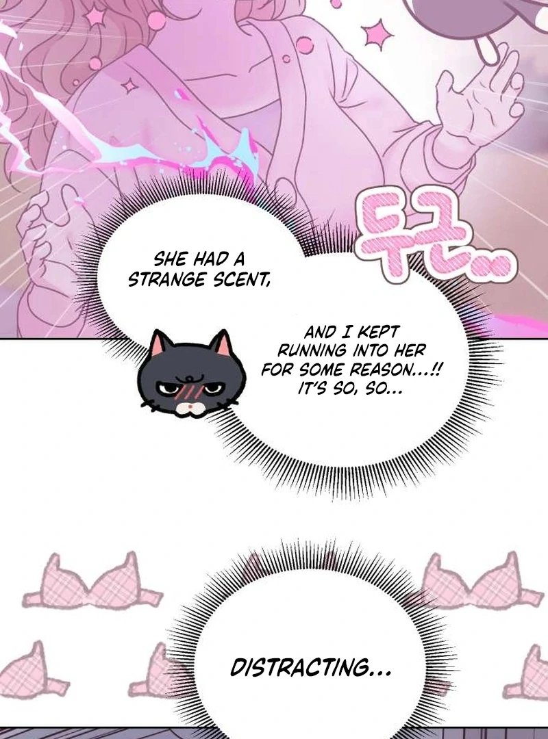 Read Meow Meow Squeak Squeak! chapter 4 image 40 on Lezhin