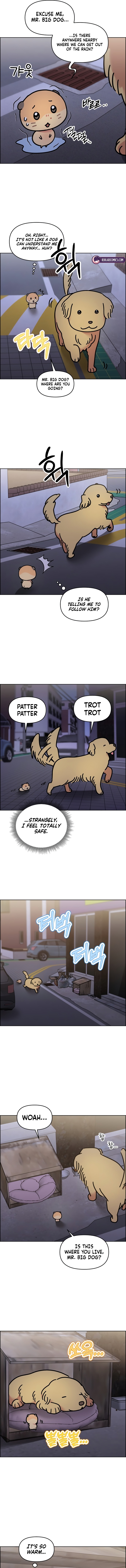 Read Meow Meow Squeak Squeak! chapter 61 image 2 on Lezhin
