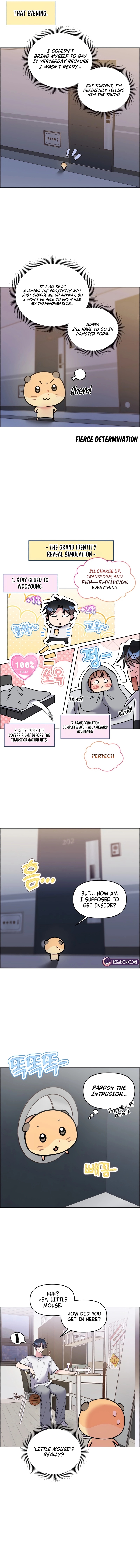 Read Meow Meow Squeak Squeak! chapter 63 image 2 on Lezhin