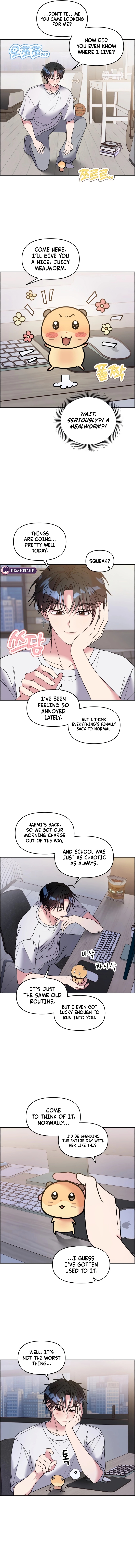 Read Meow Meow Squeak Squeak! chapter 63 image 3 on Lezhin