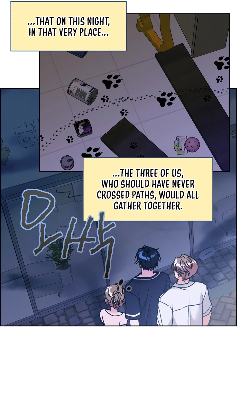Read Meow Meow Squeak Squeak! chapter 73 image 5 on Lezhin