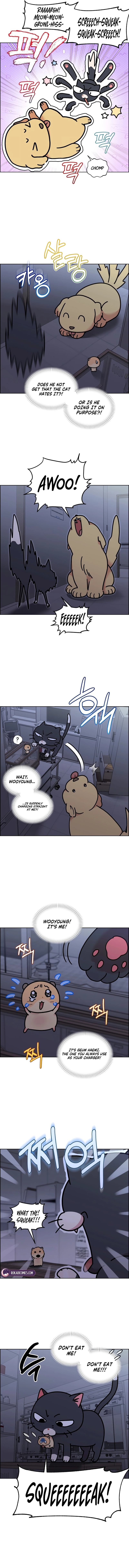 Read Meow Meow Squeak Squeak! chapter 75 image 2 on Lezhin