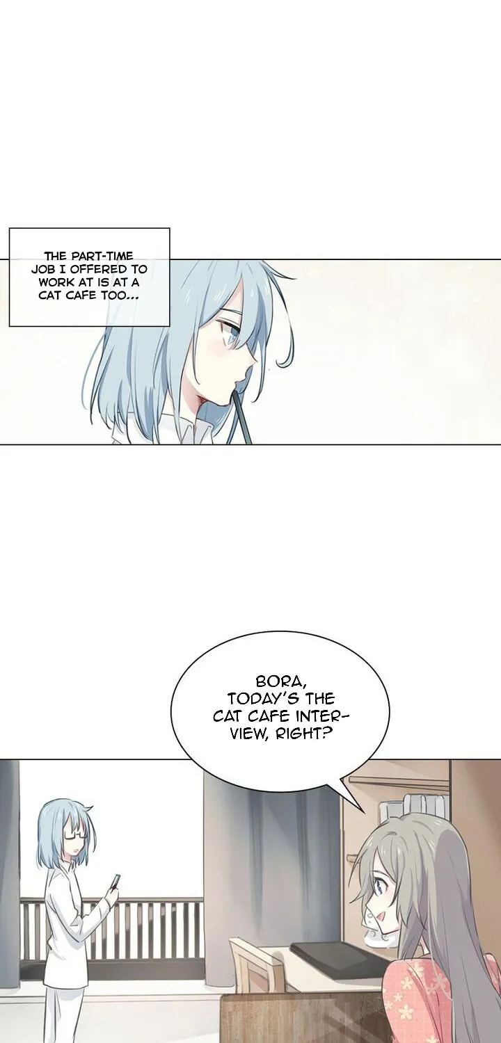 Meow! Please Help, Manager! Chapter 1 page 26 - 