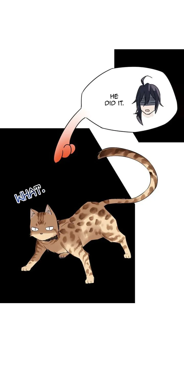 Meow! Please Help, Manager! Chapter 10 page 8 - 