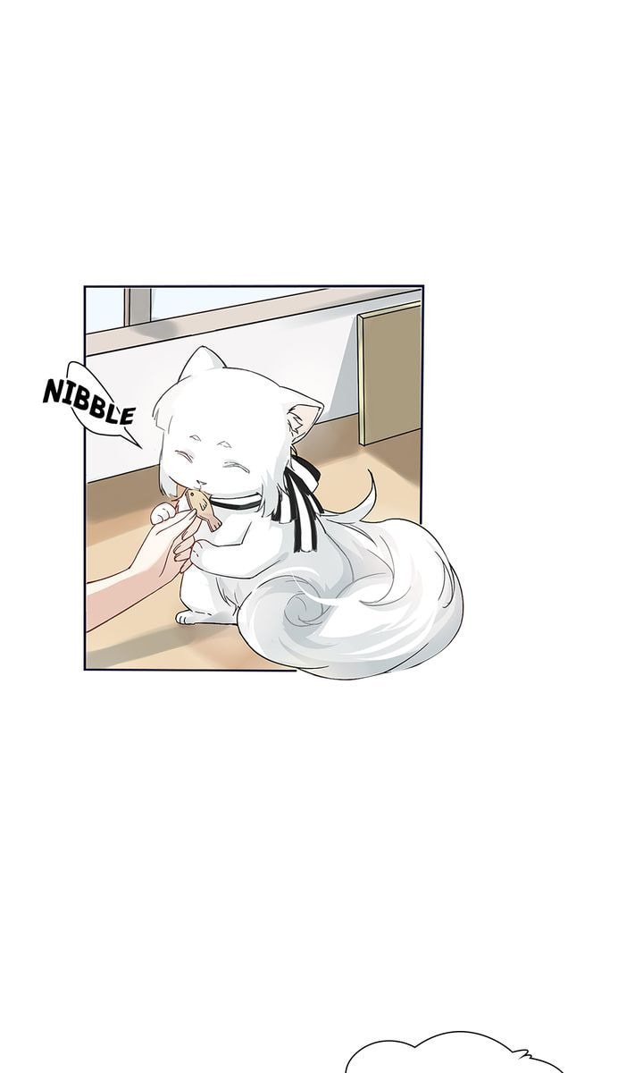 Meow! Please Help, Manager! Chapter 15 page 16 - 