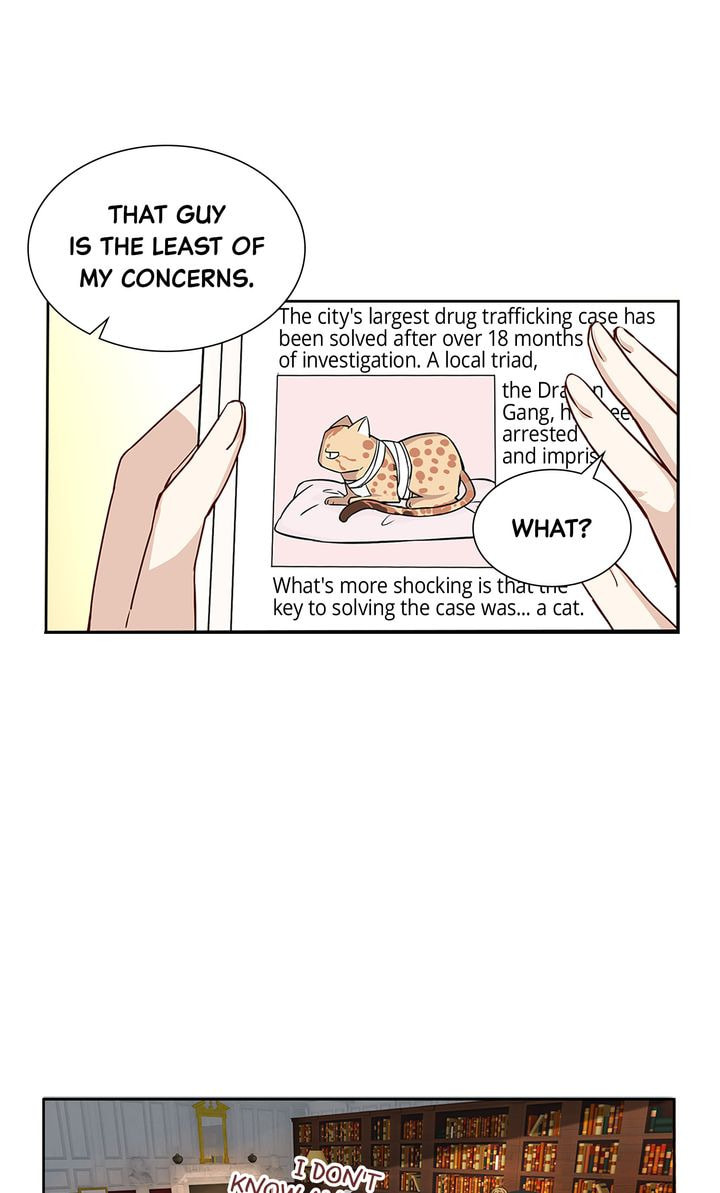 Meow! Please Help, Manager! Chapter 16 page 17 - 